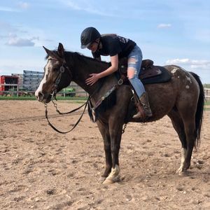 Meet your Posher, Grace